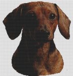 (image for) Out of the Shadows - Dachshund